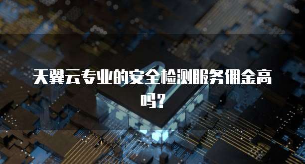 天翼云专业的安全检测服务佣金高吗?