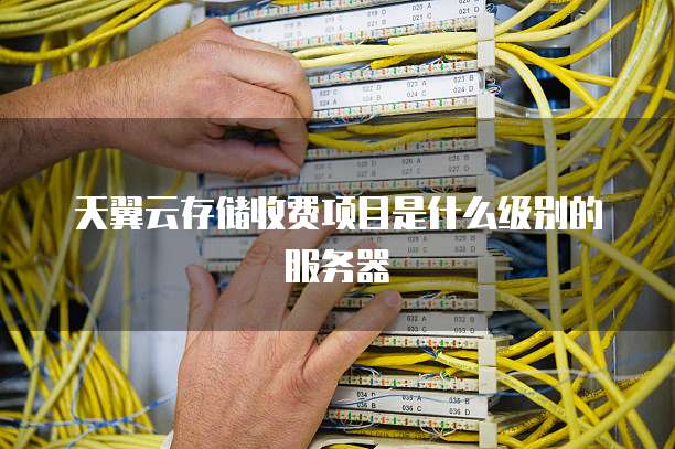 天翼云存储收费项目是什么级别的服务器