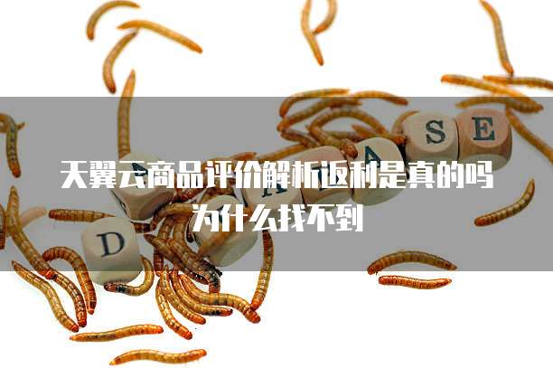 天翼云商品评价解析返利是真的吗为什么找不到