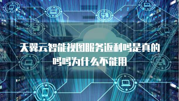 天翼云智能视图服务返利吗是真的吗吗为什么不能用
