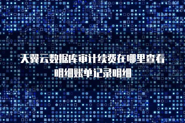 天翼云数据库审计续费在哪里查看明细账单记录明细