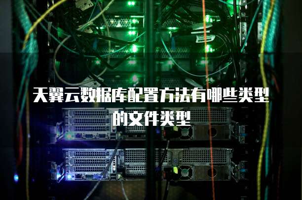 天翼云数据库配置方法有哪些类型的文件类型