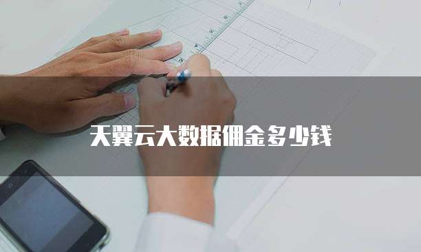 天翼云大数据佣金多少钱