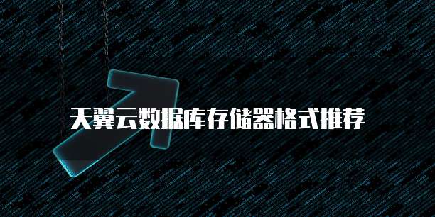 天翼云数据库存储器格式推荐