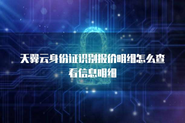 天翼云身份证识别报价明细怎么查看信息明细