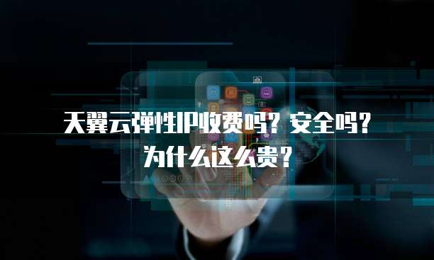 天翼云弹性IP收费吗?安全吗?为什么这么贵?