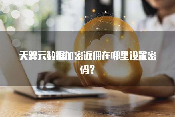 天翼云数据加密返佣在哪里设置密码?