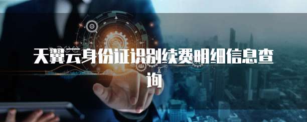 天翼云身份证识别续费明细信息查询