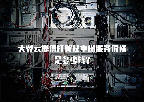 天翼云提供托管及重保服务价格是多少钱?