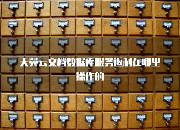 天翼云文档数据库服务返利在哪里操作的