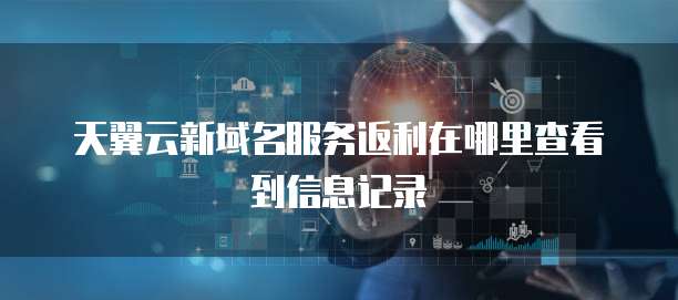 天翼云新域名服务返利在哪里查看到信息记录