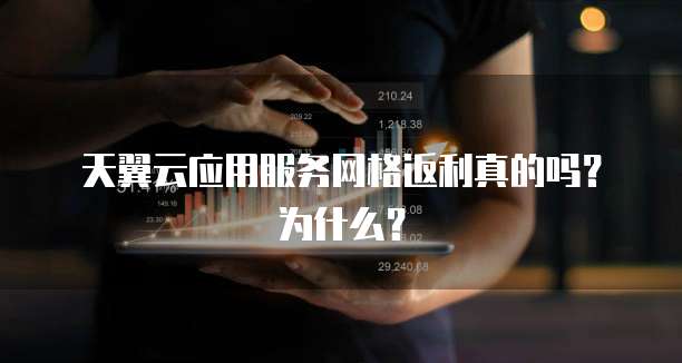 天翼云应用服务网格返利真的吗?为什么?