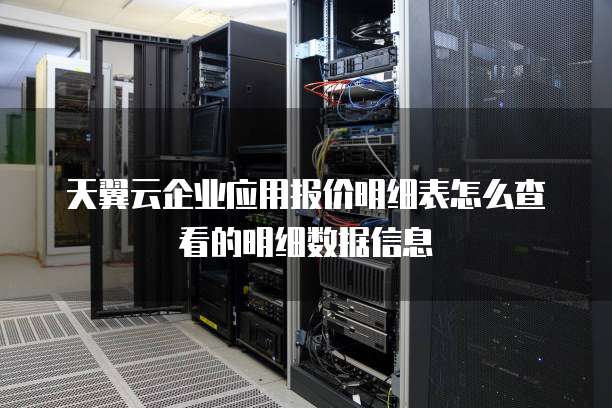 天翼云企业应用报价明细表怎么查看的明细数据信息