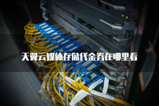 天翼云媒体存储代金券在哪里看