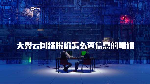 天翼云网络报价怎么查信息的明细