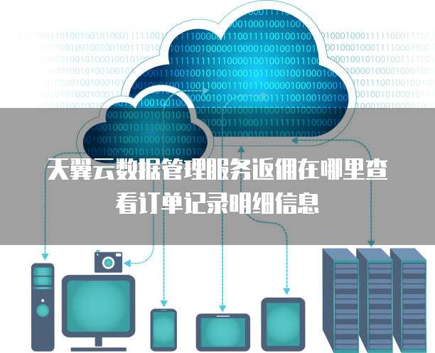 天翼云数据管理服务返佣在哪里查看订单记录明细信息