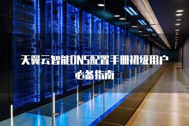 天翼云智能DNS配置手册初级用户必备指南