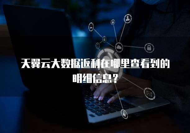 天翼云大数据返利在哪里查看到的明细信息？