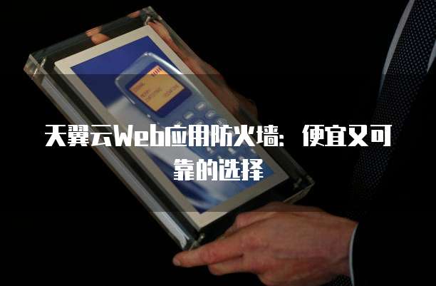 天翼云Web应用防火墙:便宜又可靠的选择