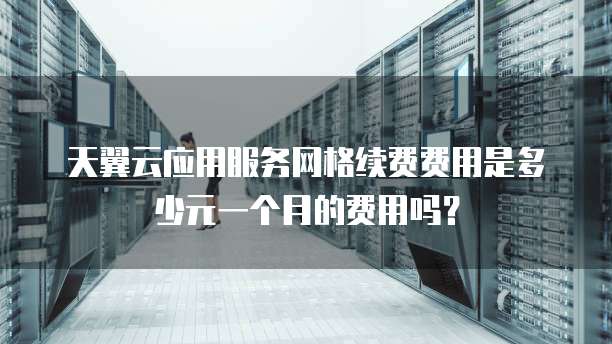 天翼云应用服务网格续费费用是多少元一个月的费用吗?