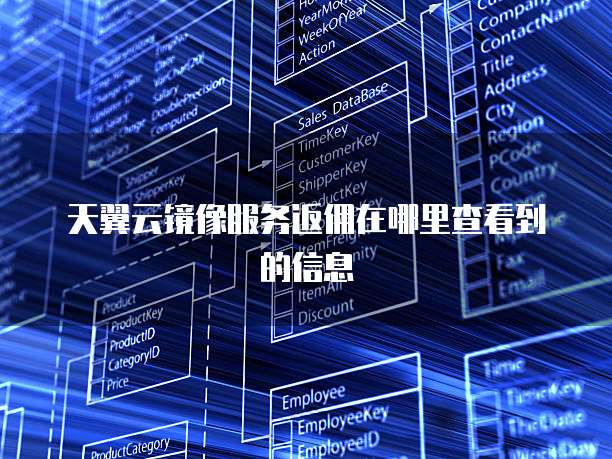 天翼云镜像服务返佣在哪里查看到的信息