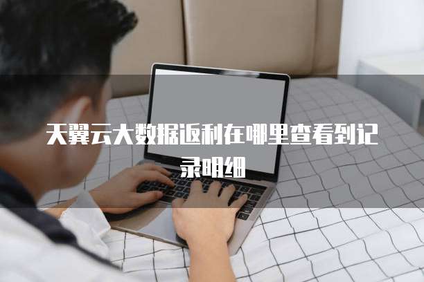 天翼云大数据返利在哪里查看到记录明细