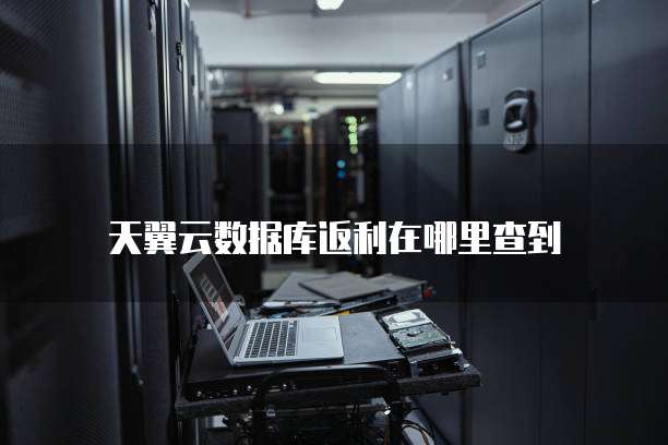 天翼云数据库返利在哪里查到

