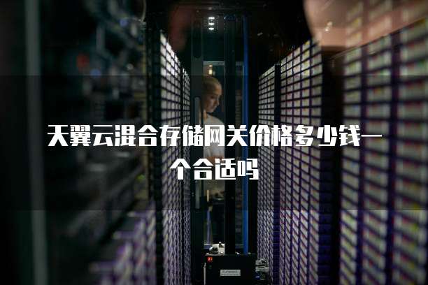天翼云混合存储网关价格多少钱一个合适吗