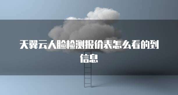 天翼云人脸检测报价表怎么看的到信息