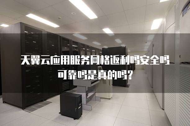 天翼云应用服务网格返利吗安全吗可靠吗是真的吗?
