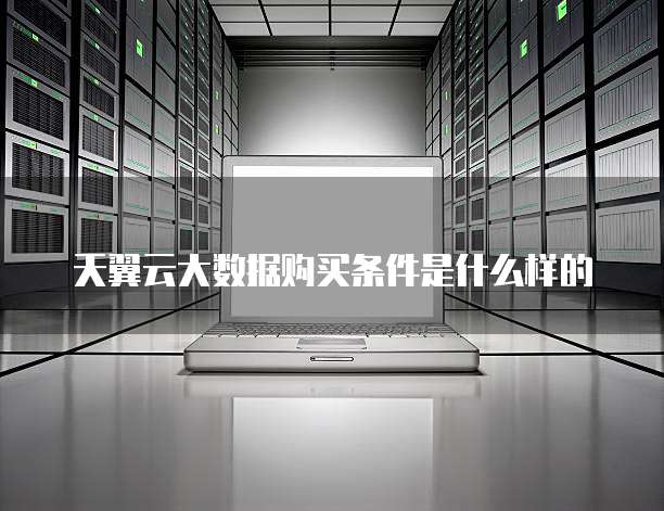 天翼云大数据购买条件是什么样的