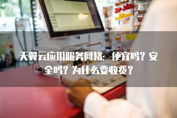 天翼云应用服务网格：便宜吗？安全吗？为什么要收费？