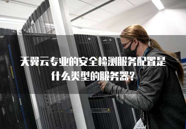 天翼云专业的安全检测服务配置是什么类型的服务器?