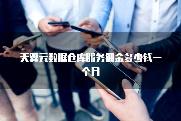 天翼云数据仓库服务佣金多少钱一个月