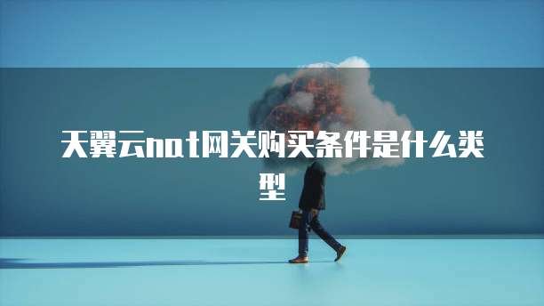 天翼云nat网关购买条件是什么类型