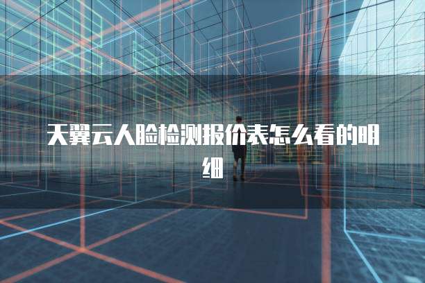 天翼云人脸检测报价表怎么看的明细