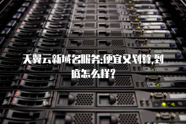 天翼云新域名服务:便宜又划算,到底怎么样?