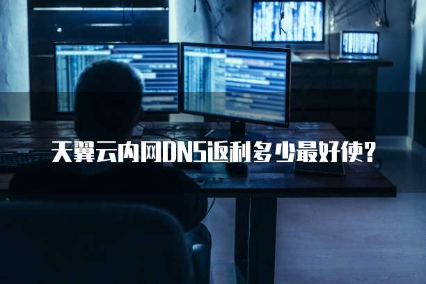 天翼云内网DNS返利多少最好使?