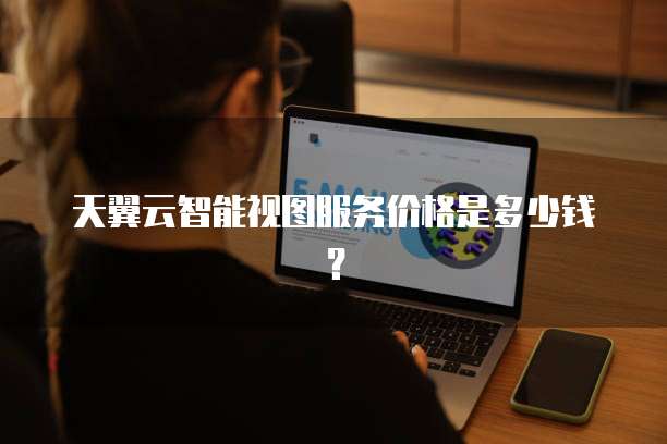 天翼云智能视图服务价格是多少钱?