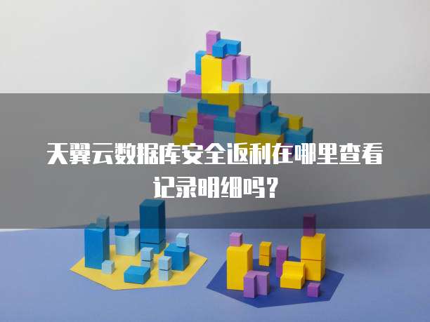 天翼云数据库安全返利在哪里查看记录明细吗?
