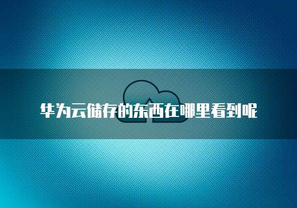 天翼云主机怎样设置端口号码显示的位置信息