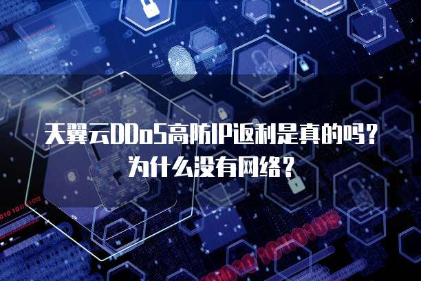天翼云DDoS高防IP返利是真的吗？为什么没有网络？