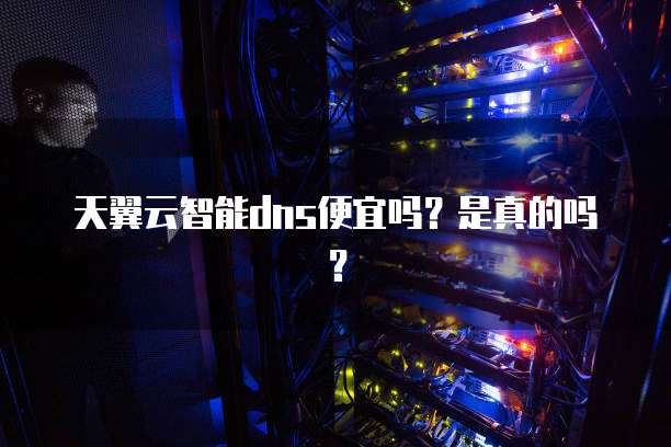 天翼云智能dns便宜吗?是真的吗?