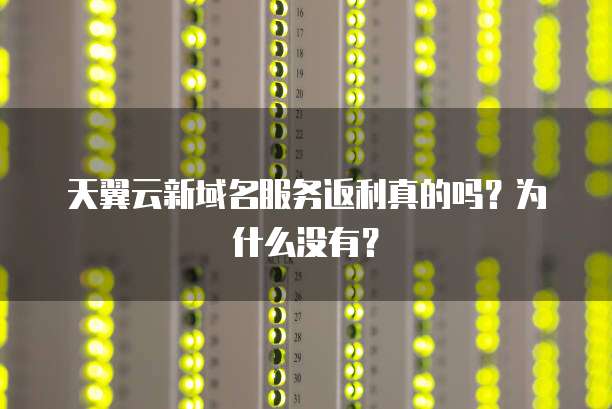 天翼云新域名服务返利真的吗?为什么没有?
