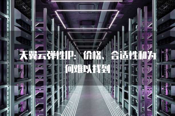 天翼云弹性IP:价格、合适性和为何难以找到