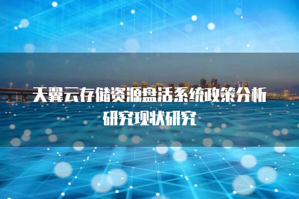 天翼云存储资源盘活系统政策分析研究现状研究