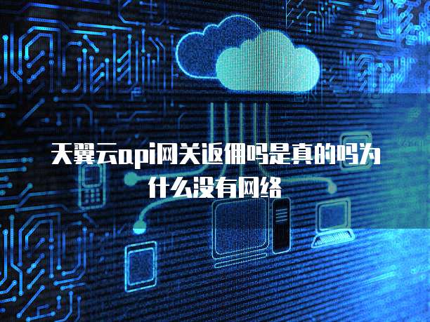天翼云api网关返佣吗是真的吗为什么没有网络