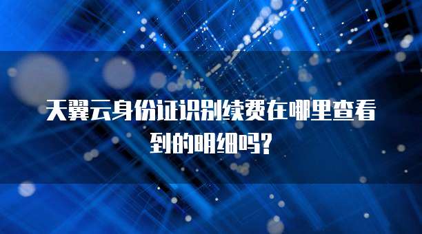 天翼云身份证识别续费在哪里查看到的明细吗?