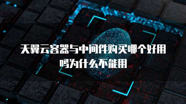 天翼云容器与中间件购买哪个好用吗为什么不能用