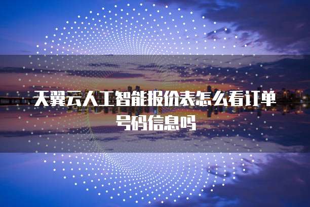 天翼云人工智能报价表怎么看订单号码信息吗